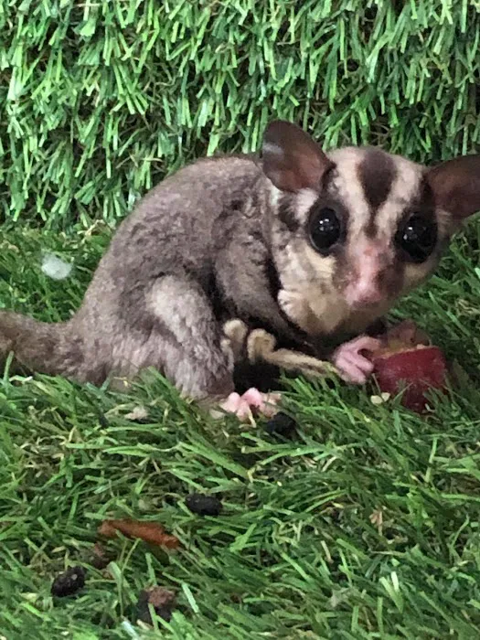 Dearne Valley Pet Centre Ltd Picture 5