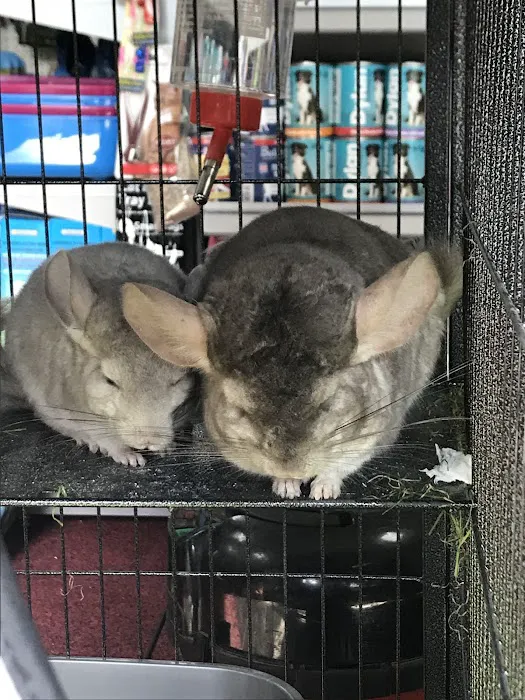 Dearne Valley Pet Centre Ltd Picture 4