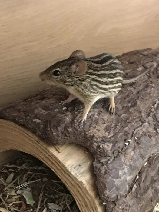 Dearne Valley Pet Centre Ltd Picture 8