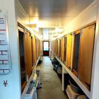 Field Cottage Cattery ico