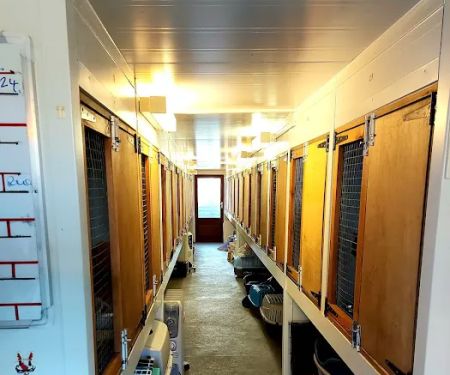 Field Cottage Cattery