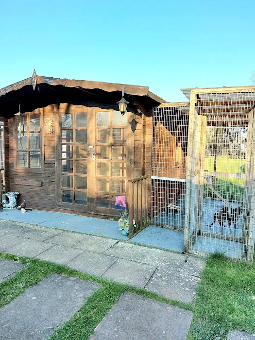 Field Cottage Cattery Picture 4