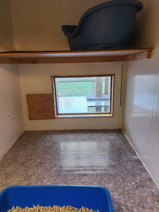 Field Cottage Cattery Picture 6