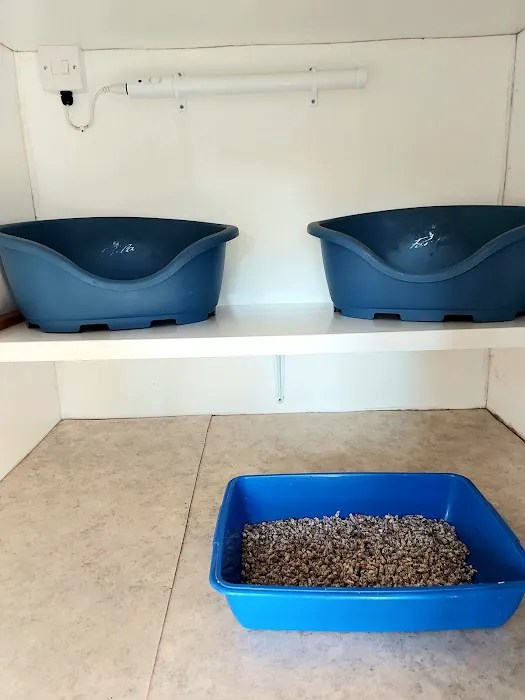 Field Cottage Cattery Picture 7