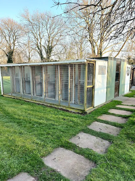 Field Cottage Cattery Picture 5