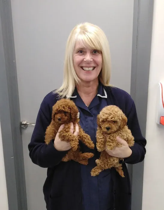 Eastfield Veterinary Clinic, Cleethorpes Picture 8