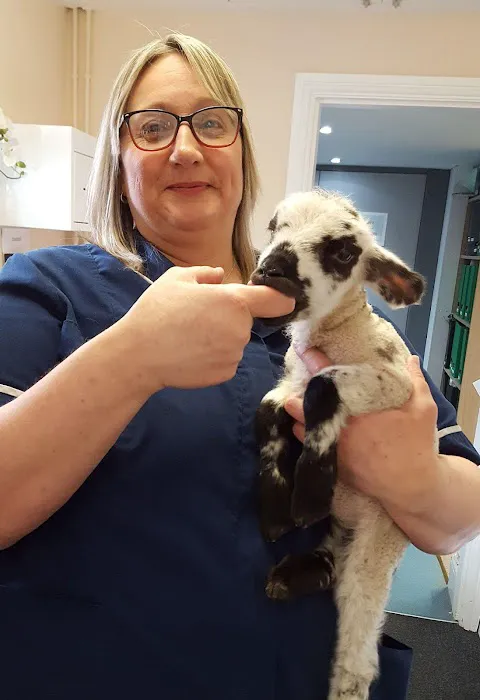 Eastfield Veterinary Clinic, Cleethorpes Picture 9
