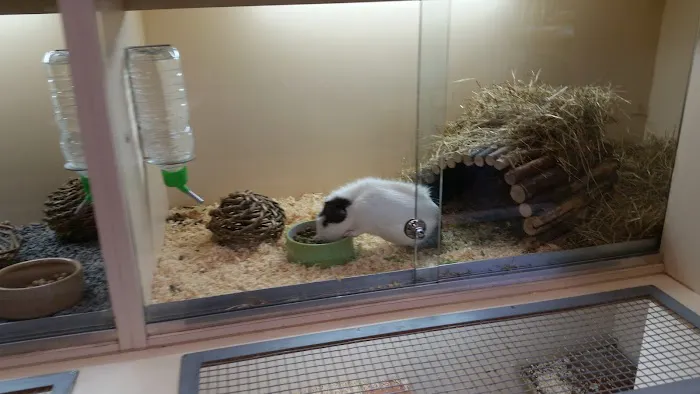 Pets at Home Birstall Picture 10