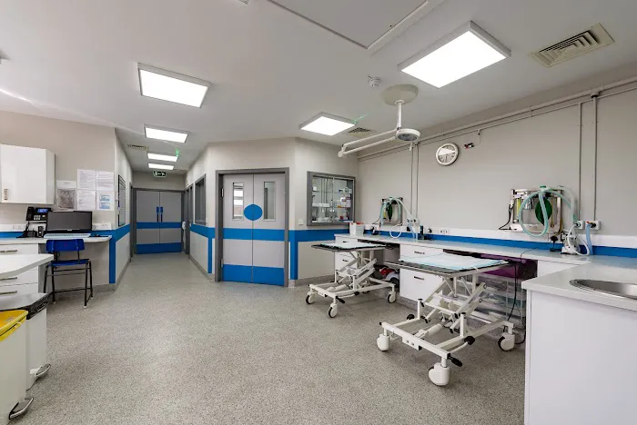Eastfield Veterinary Clinic, Grimsby Picture 1