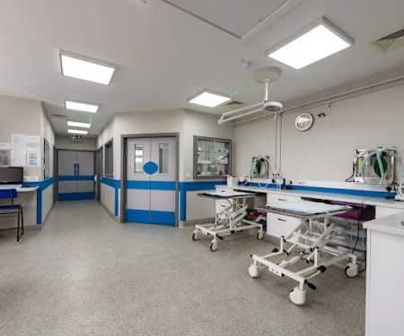 Eastfield Veterinary Clinic, Grimsby