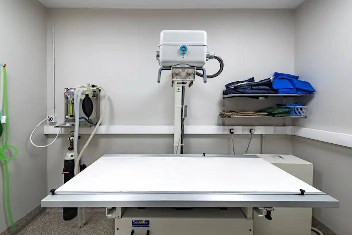 Eastfield Veterinary Clinic, Grimsby Picture 6