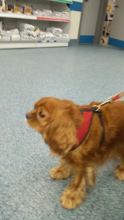 Eastfield Veterinary Clinic, Grimsby Picture 8