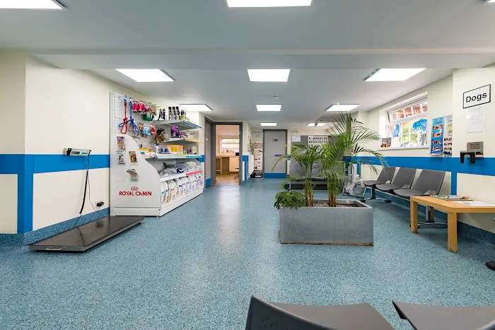Eastfield Veterinary Clinic, Grimsby Picture 9