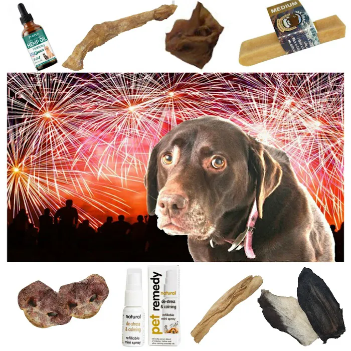 Pure Raw Treats Picture 9