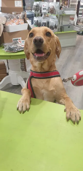 Pure Raw Treats Picture 10