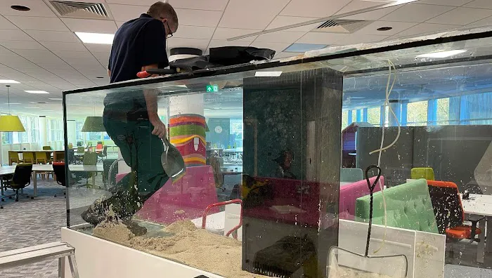 Aquarium Experts Ltd Picture 2