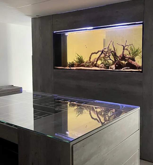 Aquarium Experts Ltd Picture 3