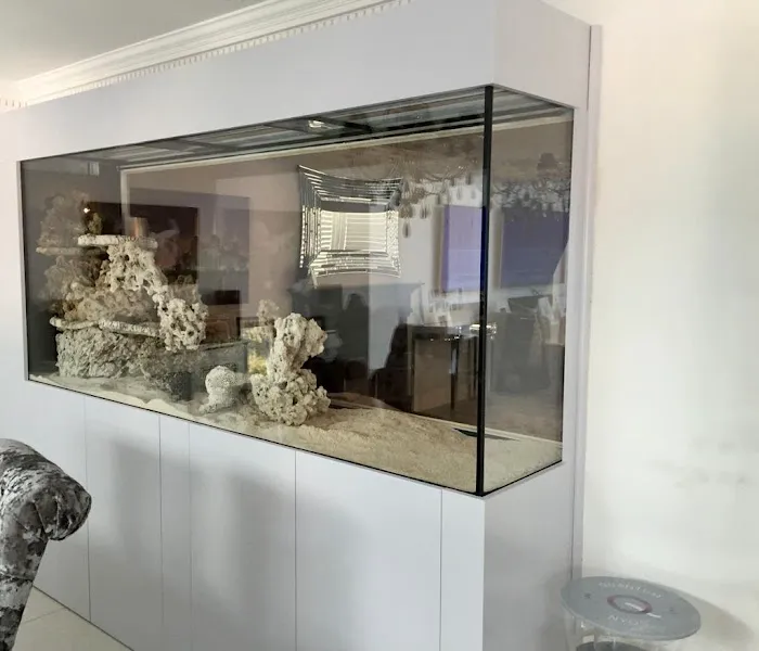 Aquarium Experts Ltd Picture 6