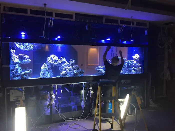 Aquarium Experts Ltd Picture 5