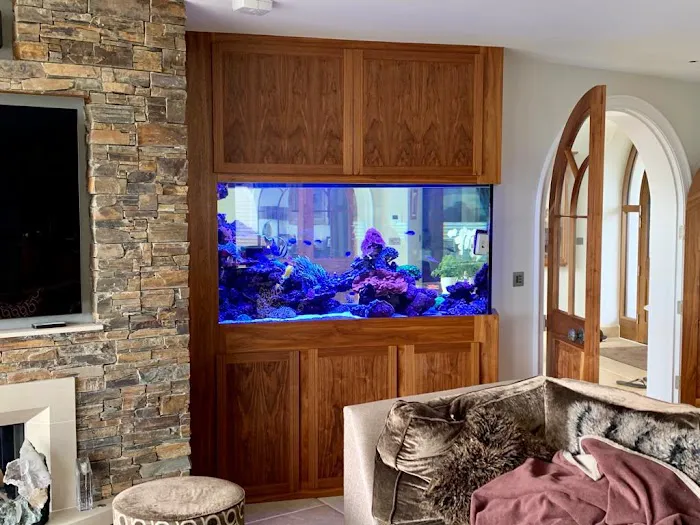 Aquarium Experts Ltd Picture 4