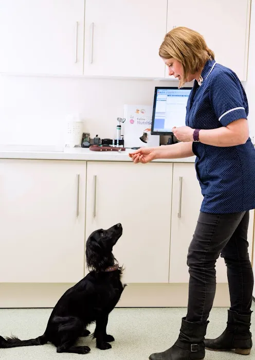 Stamford Veterinary Centre Picture 5