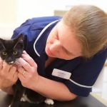Yarwell Veterinary Surgery