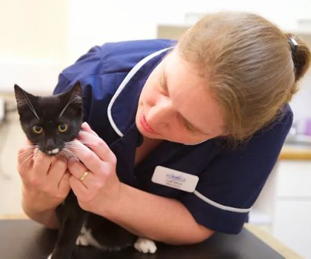 Yarwell Veterinary Surgery