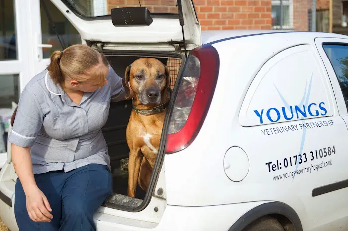 Yarwell Veterinary Surgery Picture 3