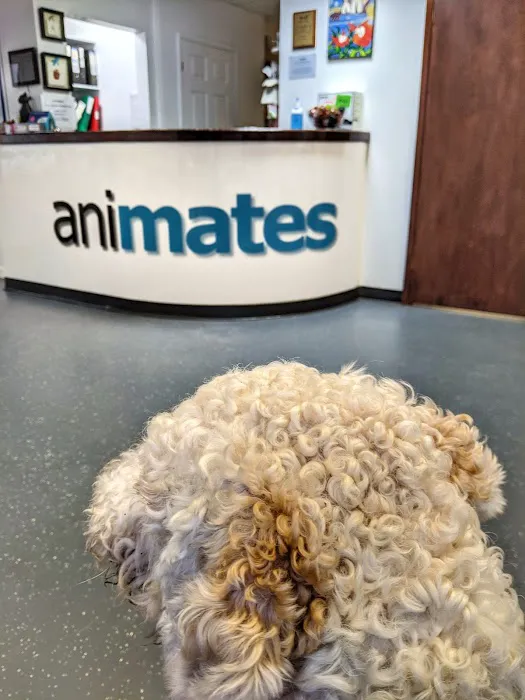 Animates Veterinary Clinic Picture 10