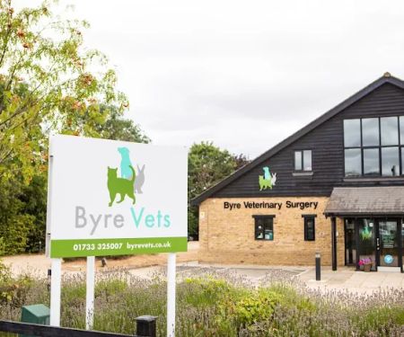 Byre Veterinary Surgery