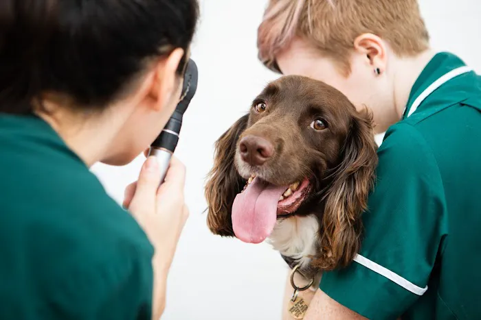 Byre Veterinary Surgery Picture 5