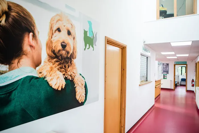 Byre Veterinary Surgery Picture 4
