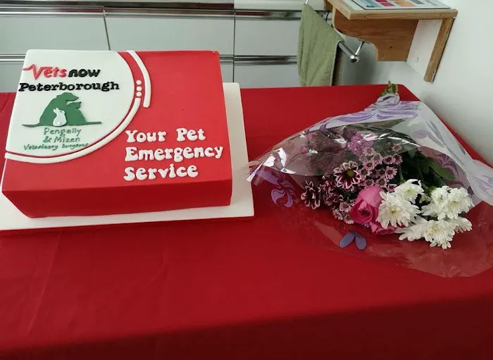 Vets Now Peterborough Picture 6
