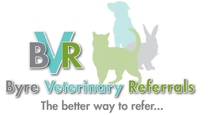 Byre Veterinary Referrals Picture 4