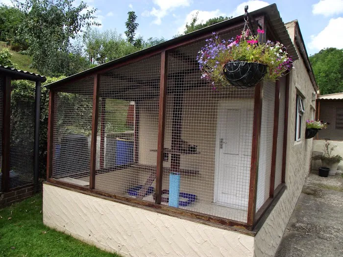 The Gables Cattery Picture 5
