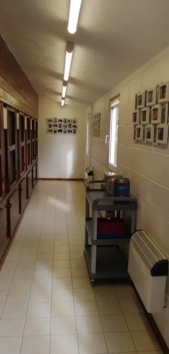 The Gables Cattery Picture 4