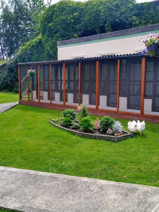 The Gables Cattery Picture 6