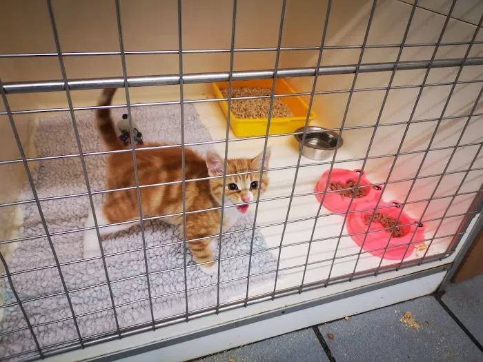 Richmond House Veterinary Centre Picture 7