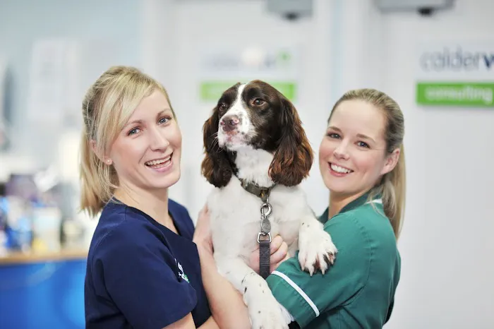 Calder Vets in Dewsbury Picture 9