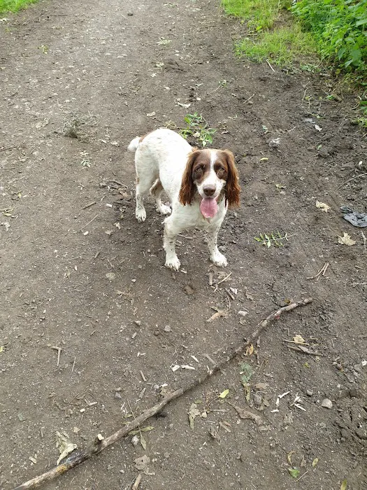 Vets4Pets - Dewsbury Picture 1