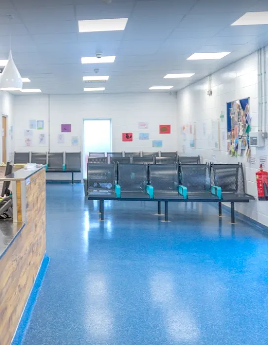 Animal Trust Vets CIC - Dewsbury Picture 3