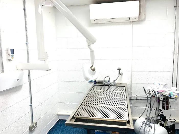 Animal Trust Vets CIC - Dewsbury Picture 8