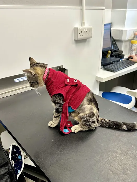 Abbey House Vets in Batley Picture 1
