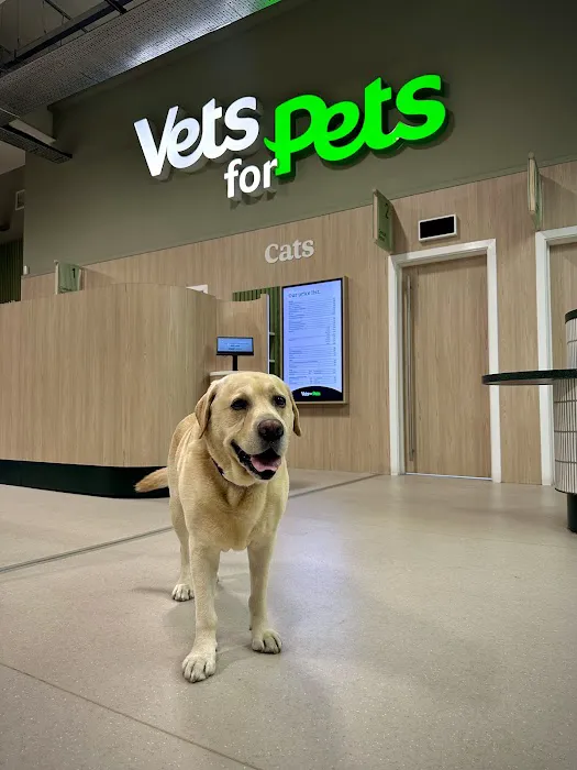Vets for Pets Leeds Birstall 24/7 Hospital Picture 7