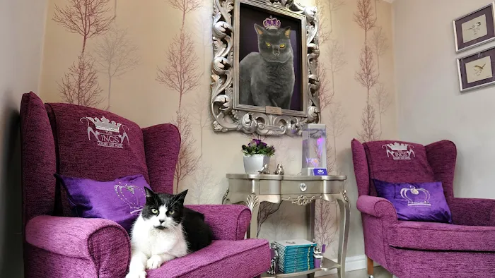 The Ings Luxury Cat Hotel Picture 3