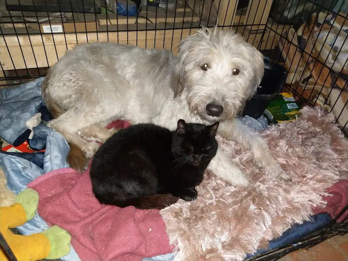 Alder Veterinary Practice Picture 2
