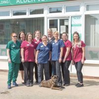 Alder Veterinary Practice ico