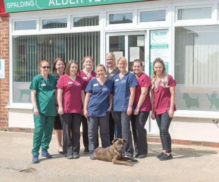 Alder Veterinary Practice