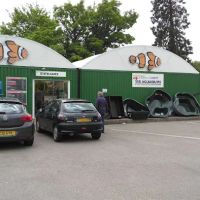 Maidenhead Aquatics Cardiff ico