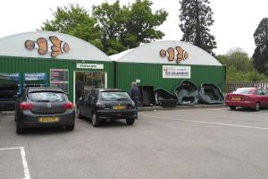 Auto Service Center
